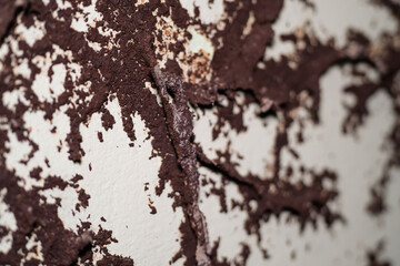 The texture of a termite nest is full of dirt and holes in the wall. Termites eating through wooden cabinets until they stick to the wall. Pests in the house. Pest control with negative space.