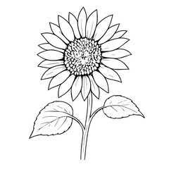 Intricate Black and White Illustration of a Sunflower on white Background