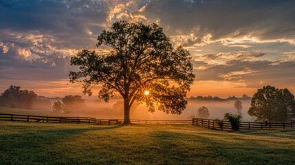 Naklejka premium Kentucky Summer. Beautiful Sunrise Behind a Colourful Tree in the Countryside