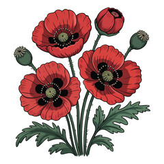 Red Poppy Trio Flower vector