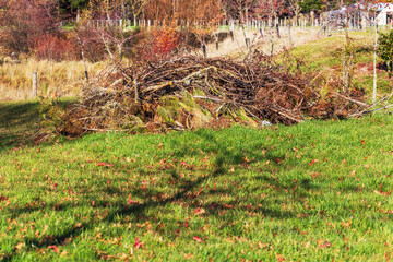 A heap of dried branches and pine needles resting on a green grassy field during autumn, with trees and a rural backdrop