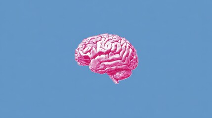 Pink Brain Blue Brain. Minimal Icon of Brain on Abstract Blue Background