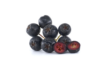 Cluster of Fresh Blue Aronia Berries Isolated on White Background