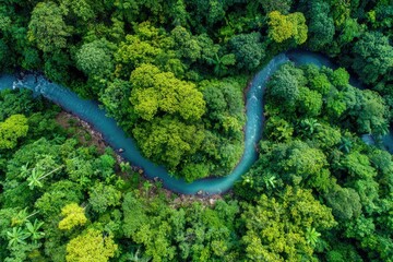 Aerial view of a vibrant river winding through lush green rainforest