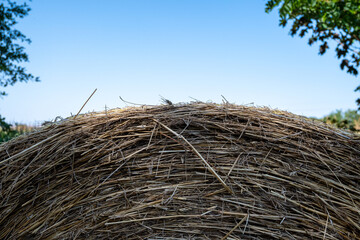 Fototapeta premium Hay bale