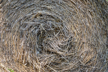 Hay bale