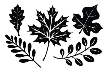 Assorted Black Leaves Oak, Maple, Fig, and Two Branches on White Background