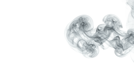 Wispy, ethereal grey smoke swirls with intricate patterns and translucent textures, illuminated by subtle cool blue light on a transparent studio background with copy space, modern abstract concept