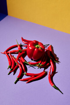 Vertical image of chilli pepper with big red pepper in the centre isolated on purple background