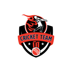 Cricket Sports Team Club Academy Player Logo