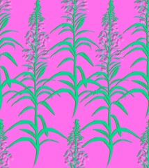 Fireweed, Ivan-tea, Epil bium - meadow grass, flower, honey plant. Seamless textile pattern on a bright pink background. Floral pattern for summer dress fabrics, viscose, silk