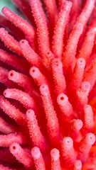 Close-up of vibrant coral-like structure