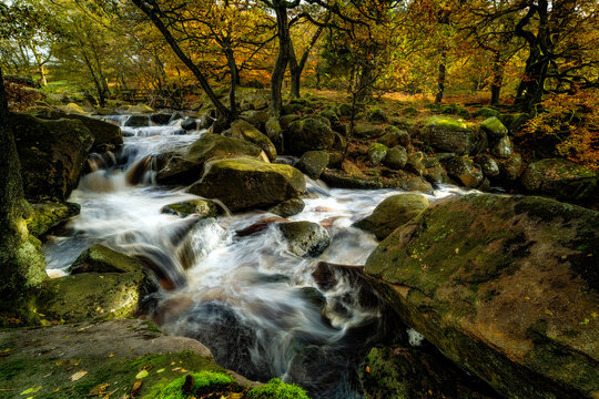 Nether Padley, waterfall in autumn forest