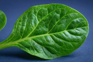 Obraz premium Cup Spinach. A Fresh and Healthy Organic Vegetable for a Greener Diet