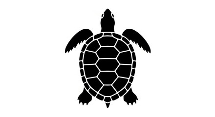 A black silhouette of a sea turtle is positioned on the right side of a white background, framed by a light blue border.
