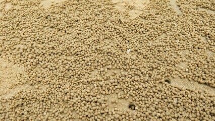 sand that has a round texture like that made by crabs
