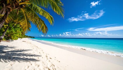 Obraz premium Tropical beach paradise (7)