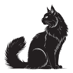 black maine coon Silhouette Vector, High Quality Illustration on White Background