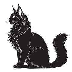 black maine coon Silhouette Vector, High Quality Illustration on White Background