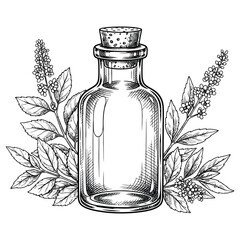 Vintage Herbal Remedy Illustration