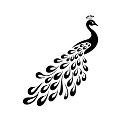 Elegant Black and White Peacock Silhouette