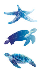 Colorful marine life illustration featuring starfish and two sea turtles, showcasing beauty of ocean biodiversity and importance of marine life