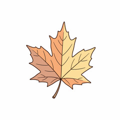 Colorful Autumn Maple Leaf Illustration with Bold Outlines and Veins