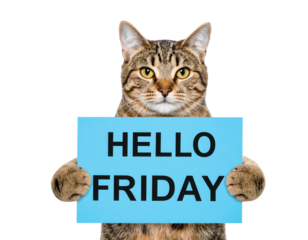 A cat holding a sign that reads "HELLO FRIDAY," conveying a playful and cheerful greeting for the end of the week.