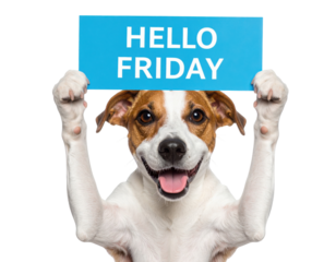 A joyful dog holds up a blue sign that says "HELLO FRIDAY," showcasing excitement and enthusiasm.