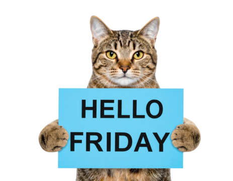 A cat holding a sign that reads "HELLO FRIDAY," conveying a playful and cheerful greeting for the end of the week.