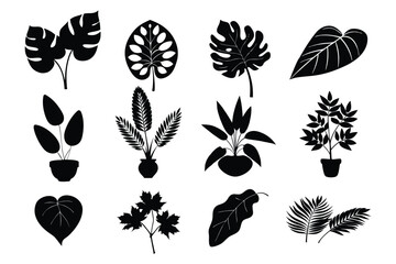 Twelve various black tropical plant silhouettes including monstera, palm, and leafy potted options with transparent background