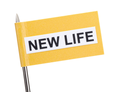 A small yellow flag with the words "NEW LIFE" printed in bold black letters.