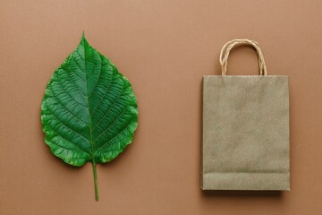 Green leaf and brown paper bag on tan background