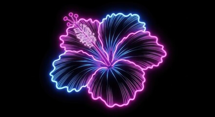 Radiant Hibiscus Flower Illustration With