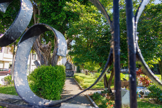 泊外人墓地と美しいガジュマルの木。
泊港は日本国の開国を交渉するために米国から訪れた、マシュー·ペリーが1853年に寄港した場所。
外人墓地の隣に、その事績を記念した上陸記念碑が置かれている。
沖縄県那覇市那覇泊港
沖縄の海の玄関口、那覇泊港。
慶良間諸島の座間味島等へゆく高速ジェットフェリー。
クイーンざまみ3号に乗船した。
2025/6/27

