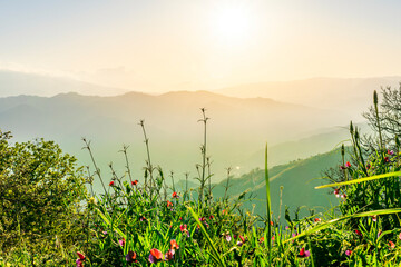 muntain view of green highland with trees and bushes during beautiful mountain sunset or sunrise...