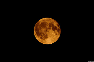 Orange Full Moon Against Black Sky – Harvest Moon with Visible Craters and Maria