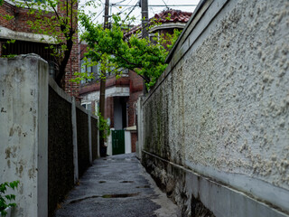 낯선 풍경속에서의 여행