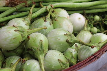 Thai eggplant is a vegetable in the fresh market.