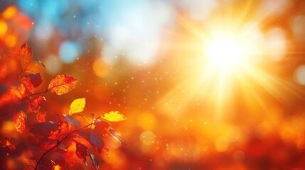 Bright sunlight shines through autumn leaves creating a warm colorful bokeh effect.