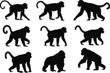 Silhouettes of monkeys and gorillas walking in various poses, primate animal illustration, jungle wildlife concept, black vector design, isolated tropical species collection