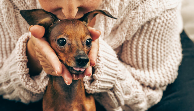 Woman kissing her cute little dog with tongue out, owner showing love and affection to her pet, funny and tender moment, human animal friendship