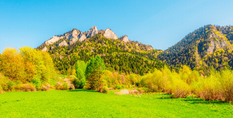 Peak Tri Koruny or Trzy Korony during day with green meadow and trees in spring. Pieniny National park in Slovakia and Poland © Zedspider