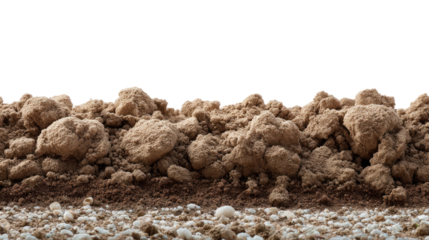Earth Close-up: a textured close-up of rich, fertile soil.