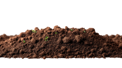 Rich Earth: A close-up, high-angle shot of a pile of rich, dark earth, hinting at the potential for growth and life, with tiny green sprouts emerging.