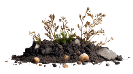Tiny Landscape: A miniature landscape, featuring small plants rooted in dark soil among pebbles and rocks. Represents the beginning of life, and ecosystem
