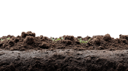 Soil Ground: A close-up shot of rich, dark earth. Witness the textures and detail of life's foundation in this striking, grounded image.