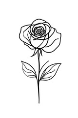 Rose is drawn in black