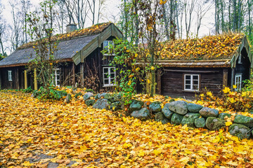 Old idyllic cottages by a road with autumn leaves © Lars Johansson