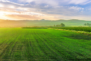 Obraz premium spring season green landscape of green field and meadow in a hill countryside with mountains and beautiful sunset sky on background